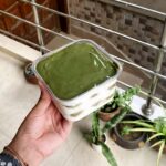 Pistachio Espresso Tiramisu