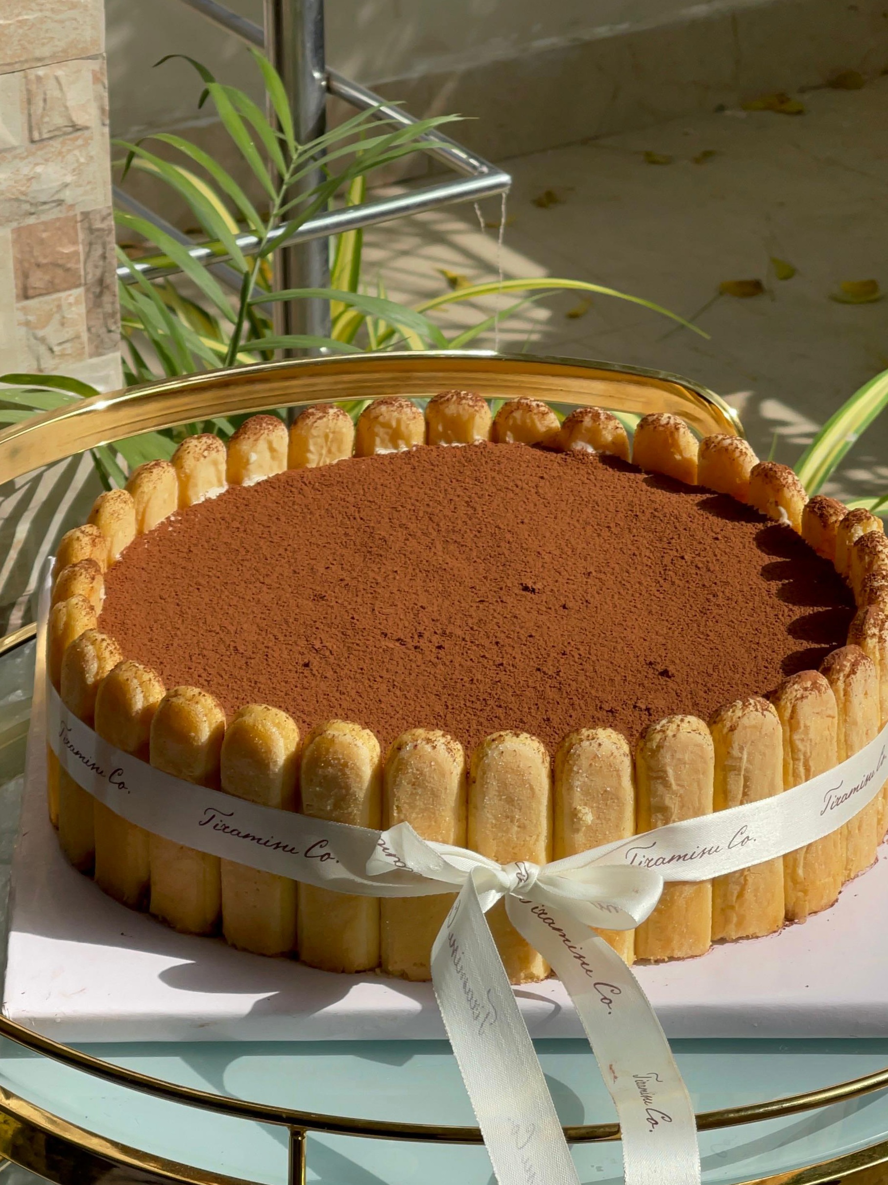 Wedding Charlotte Tiramisu